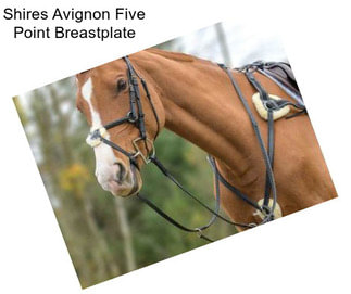 Shires Avignon Five Point Breastplate