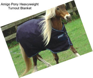 Amigo Pony Heavyweight Turnout Blanket