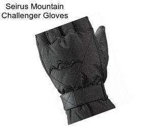 Seirus Mountain Challenger Gloves