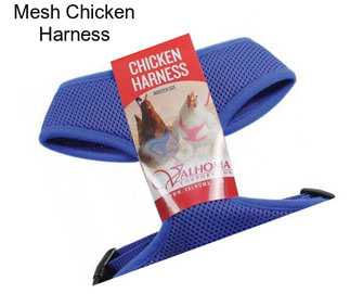 Mesh Chicken Harness