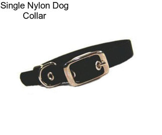 Single Nylon Dog Collar