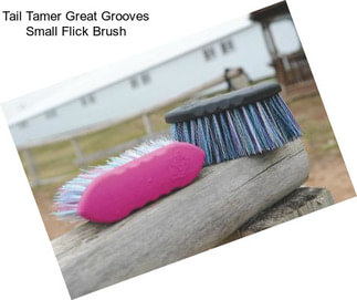 Tail Tamer Great Grooves Small Flick Brush