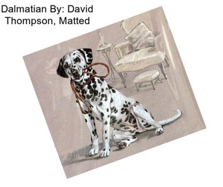 Dalmatian By: David Thompson, Matted