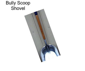 Bully Scoop Shovel