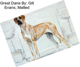 Great Dane By: Gill Evans, Matted