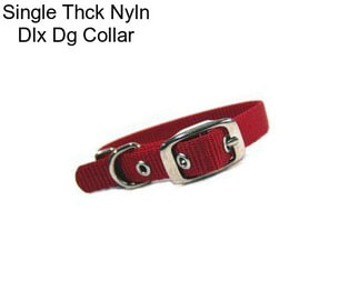 Single Thck Nyln Dlx Dg Collar