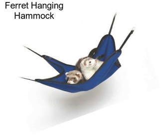 Ferret Hanging Hammock