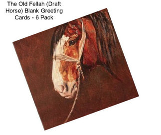 The Old Fellah (Draft Horse) Blank Greeting Cards - 6 Pack