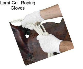 Lami-Cell Roping Gloves