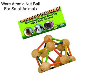 Ware Atomic Nut Ball For Small Animals