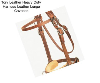 Tory Leather Heavy Duty Harness Leather Lunge Caveson