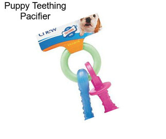Puppy Teething Pacifier