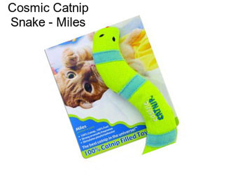 Cosmic Catnip Snake - Miles