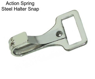 Action Spring Steel Halter Snap