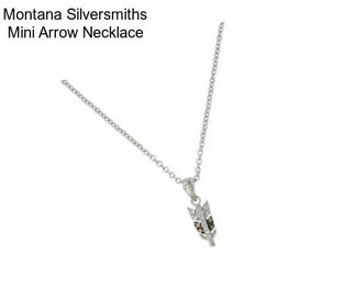 Montana Silversmiths Mini Arrow Necklace