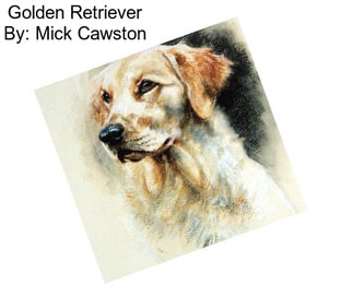 Golden Retriever By: Mick Cawston