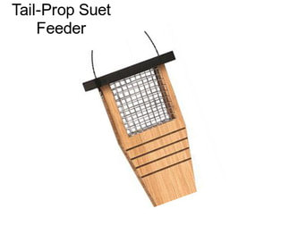 Tail-Prop Suet Feeder