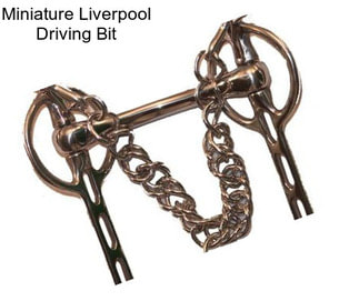 Miniature Liverpool Driving Bit