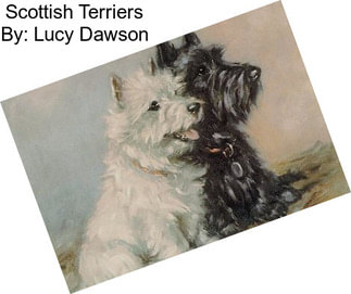 Scottish Terriers By: Lucy Dawson