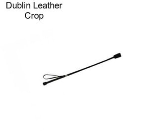 Dublin Leather Crop