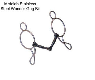 Metalab Stainless Steel Wonder Gag Bit