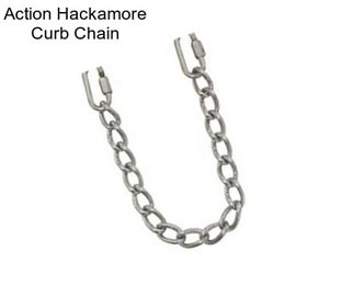 Action Hackamore Curb Chain