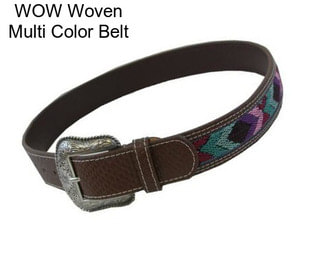 WOW Woven Multi Color Belt