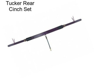 Tucker Rear Cinch Set