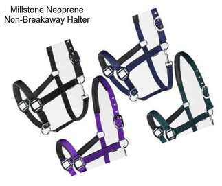 Millstone Neoprene Non-Breakaway Halter