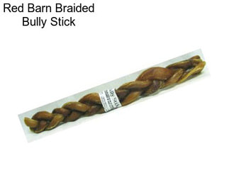 Red Barn Braided Bully Stick