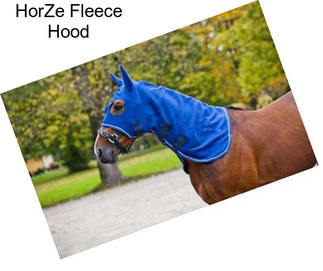 HorZe Fleece Hood