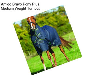 Amigo Bravo Pony Plus Medium Weight Turnout