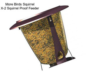 More Birds Squirrel X-2 Squirrel Proof Feeder