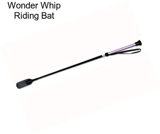 Wonder Whip Riding Bat