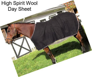 High Spirit Wool Day Sheet
