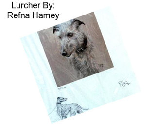 Lurcher By: Refna Hamey