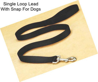 Single Loop Lead With Snap For Dogs