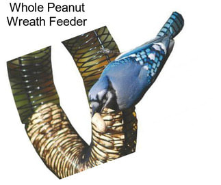 Whole Peanut Wreath Feeder