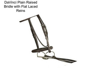 DaVinci Plain Raised Bridle with Flat Laced Reins