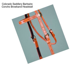 Colorado Saddlery Barbwire Concho Browband Headstall