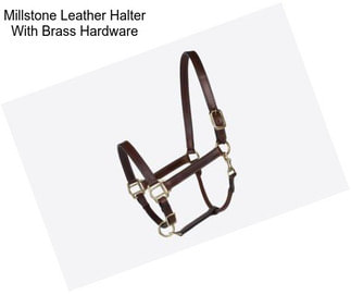 Millstone Leather Halter With Brass Hardware