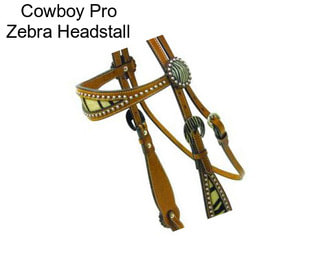 Cowboy Pro Zebra Headstall