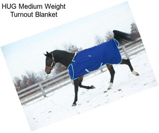 HUG Medium Weight Turnout Blanket