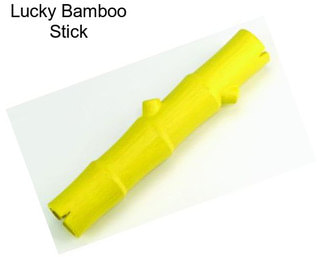 Lucky Bamboo Stick