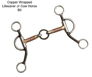 Copper Wrapped Lifesaver Jr Cow Horse Bit
