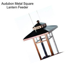 Audubon Metal Square Lantern Feeder