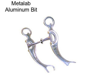 Metalab Aluminum Bit