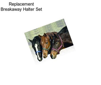 Replacement Breakaway Halter Set