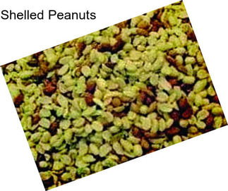 Shelled Peanuts