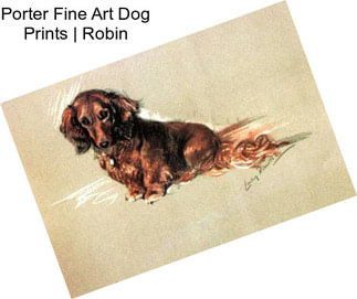Porter Fine Art Dog Prints | Robin
